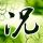 玉观音